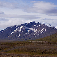 Limited vegetation on a post-glacial landscape in Iceland.