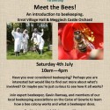 Meet the Bees! Saturday 4th July