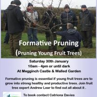 Orchard Skills Training – Formative Pruning