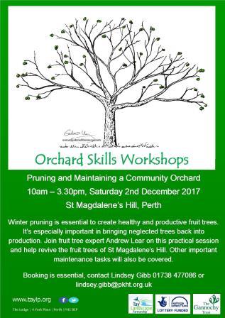 Pruning & Maintaining a Community Orchard – 2nd December – Perth – Fully Booked