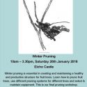Winter Pruning – 20th January 2018 – Elcho Castle – Spaces available